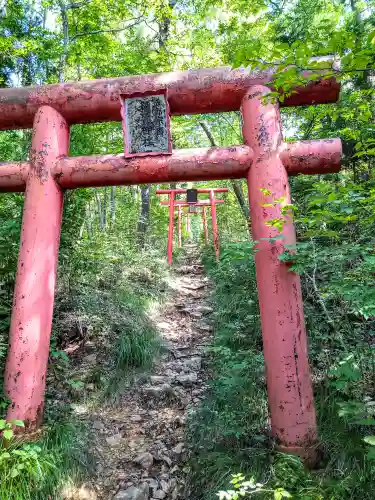 千歳稲荷神社の鳥居