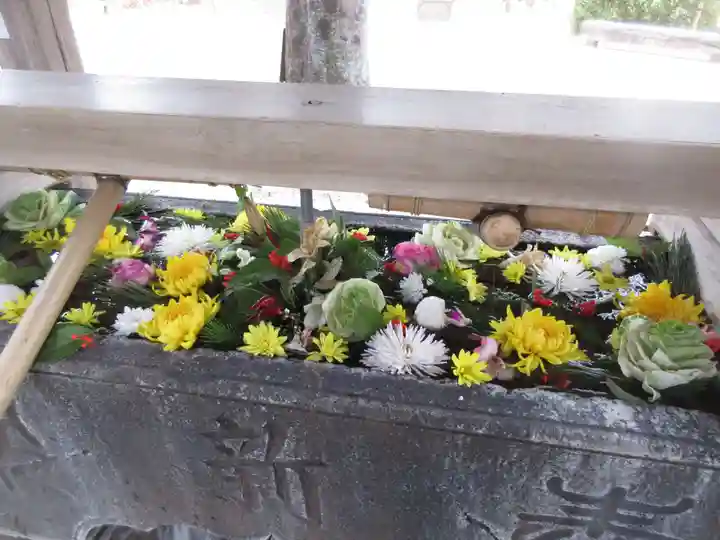 鳩森八幡神社(東京都)