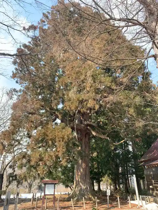 糠部神社の自然
