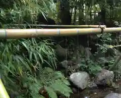 白笹稲荷神社の手水