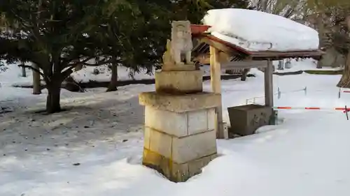 網走護国神社の狛犬