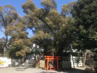 富知六所浅間神社(静岡県)