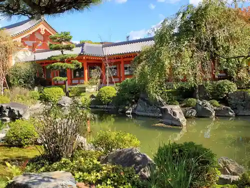 蓮華王院（三十三間堂）の庭園