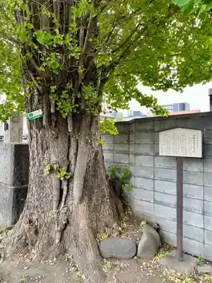 法禅寺(東京都)