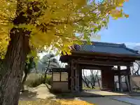 観音寺(中舘観音寺)の山門・神門