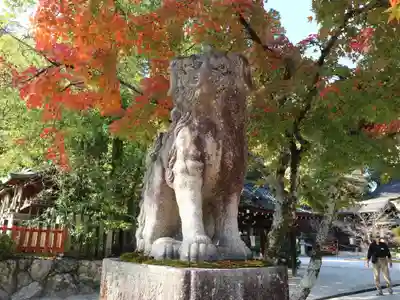 今宮神社の狛犬