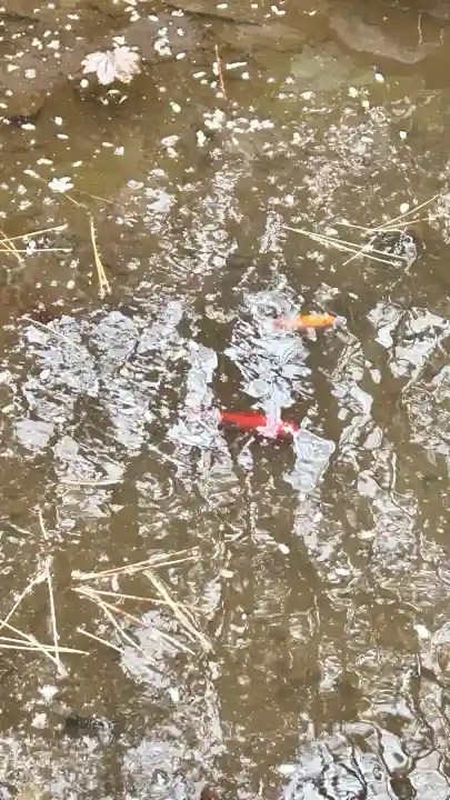 竹駒稲荷神社(北海道)