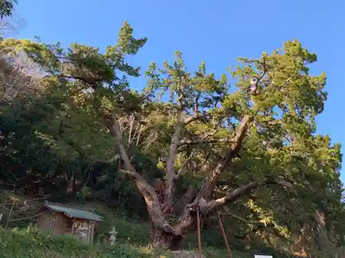 十二天神社の自然