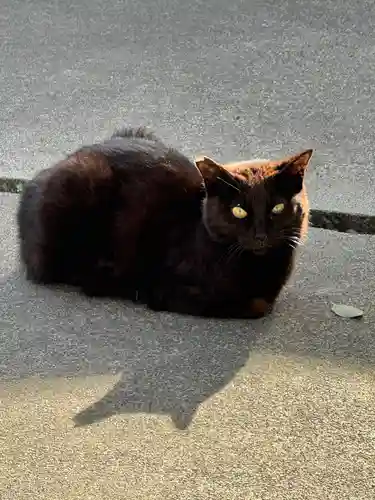 若宮八幡社(愛知県)