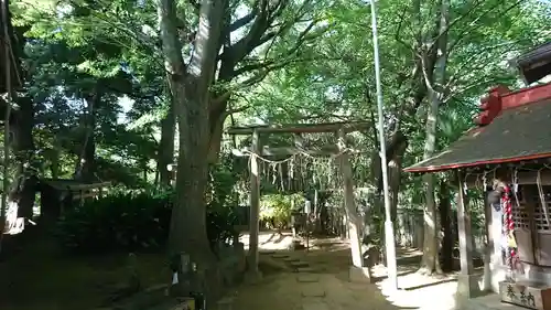 厳嶋神社の鳥居