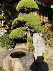 東樹院(神奈川県)