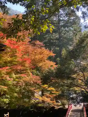 葛川息障明王院(滋賀県)