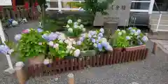 六孫王神社(京都府)