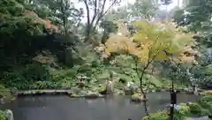 三千院門跡の庭園