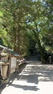 大山祇神社(愛媛県)