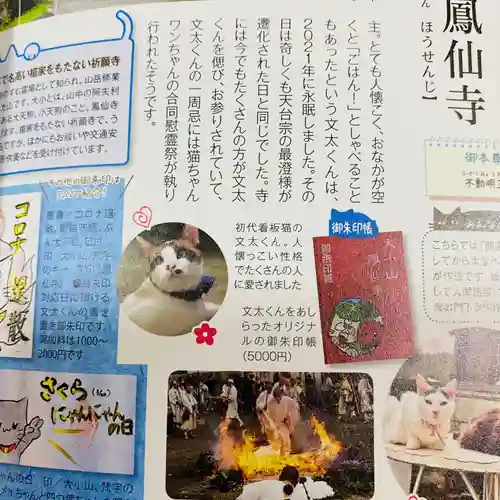  鳳仙寺(栃木県)