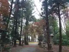 生品神社の自然