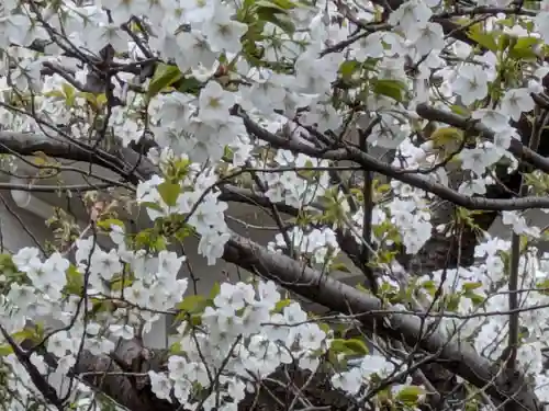 玉眞院玉川大師(東京都)