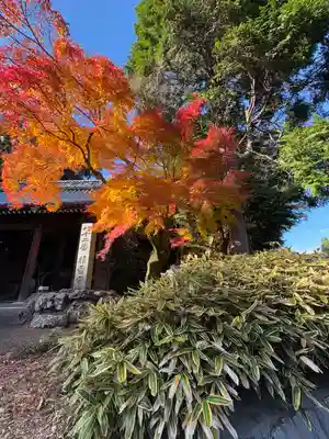 根香寺(香川県)