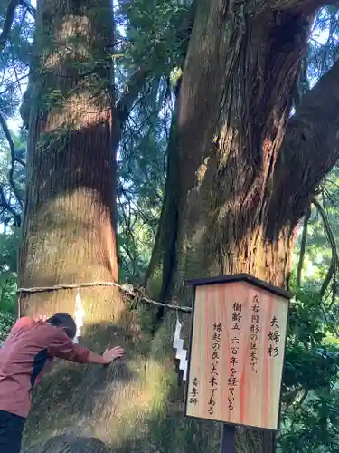 大山阿夫利神社本社(神奈川県)