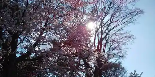 北鎮安全神社の自然