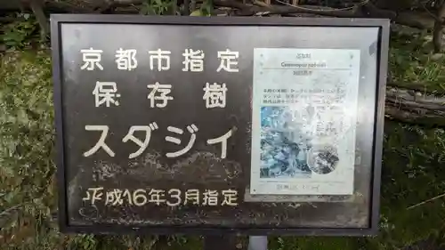 新日吉神宮(京都府)