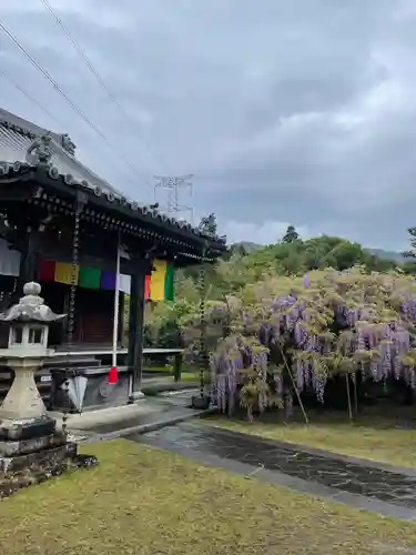 子安地蔵寺の建物その他