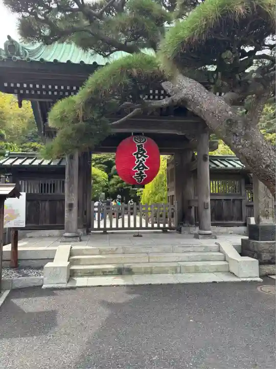 長谷寺(神奈川県)