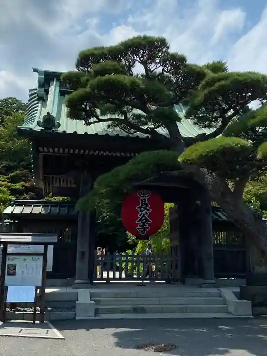 長谷寺の山門・神門
