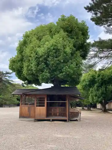橿原神宮(奈良県)