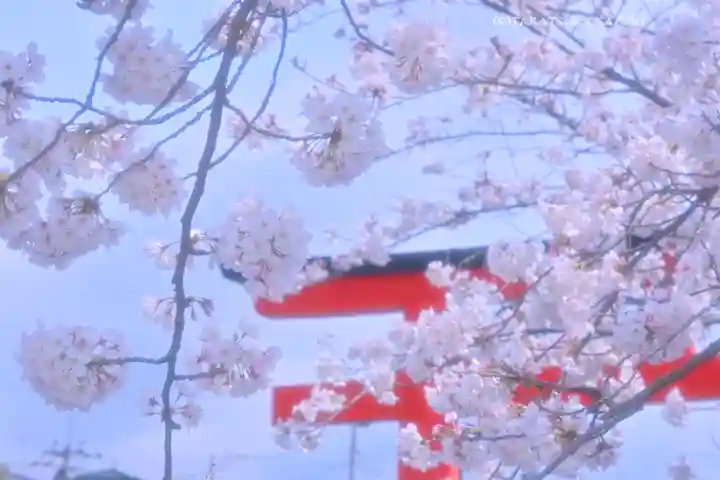 富士山本宮浅間大社(静岡県)