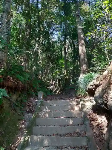 白山神社の自然