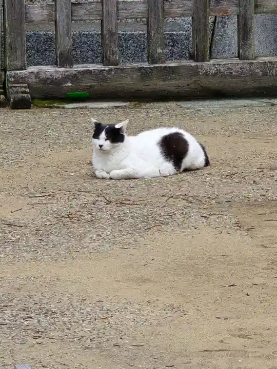 鎌数伊勢大神宮(千葉県)