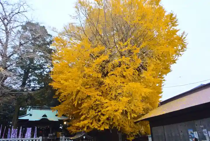 鶴嶺八幡宮(神奈川県)