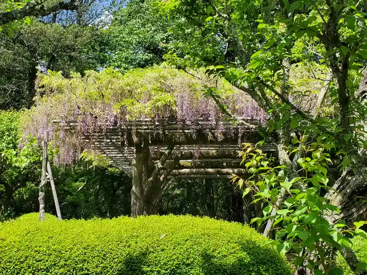 成田山新勝寺の自然