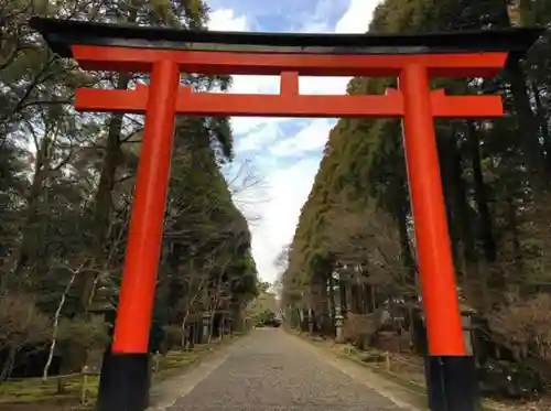 霧島神宮の鳥居