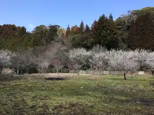 真福寺の自然