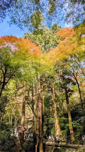 勝尾寺(大阪府)