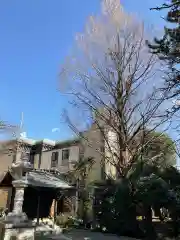 玉泉寺の建物その他