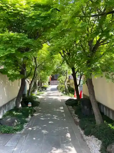 正泉寺の{uncategorized: "未分類", other: "その他", undefined: "問題あり", building: "その他建物", grave: "お墓", sacred_gate: "鳥居", guardian: "狛犬", statue: "像", buddha: "仏像", history: "歴史", nature: "自然", garden: "庭園", animal: "動物", pagoda: "塔", temizu: "手水舎", mountain_gate: "山門・神門", sanctuary: "本殿・本堂", subordinate: "末社・摂社", art: "芸術", scenery: "景色", jizo: "地蔵", ema: "絵馬", goshuin: "御朱印", omikuji: "おみくじ", items: "授与品その他", amulet: "お守り", goshuincho: "御朱印帳", eats: "食事", festival: "お祭り", votive_dance: "神楽", shichigosan: "七五三参", wedding: "結婚式", experience: "体験その他", initially: "初詣", around: "周辺", anti_infection: "感染症対策"}