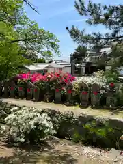 矢田寺(奈良県)