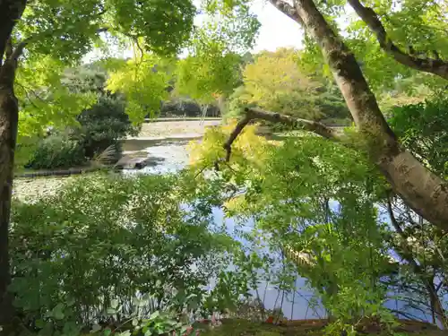 龍安寺の庭園