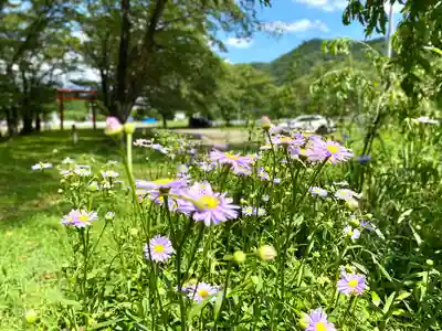 子檀嶺神社(長野県)