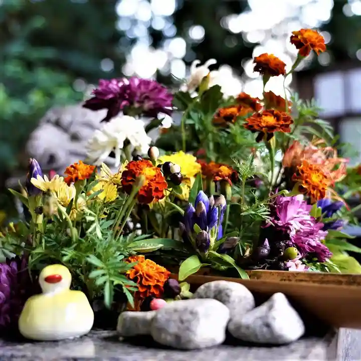 滑川神社 - 仕事と子どもの守り神の手水舎