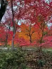 日枝神社(岐阜県)