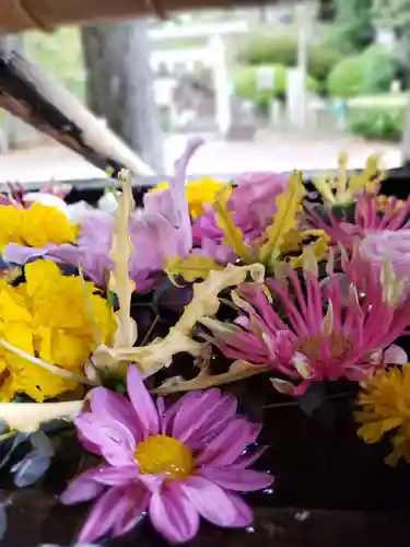 鳩森八幡神社の手水舎