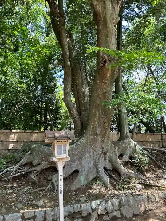 常陸國總社宮(茨城県)