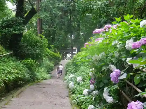 浄智寺の庭園