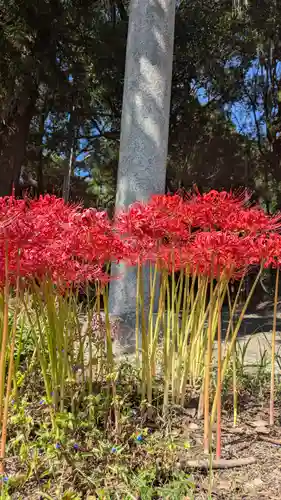 水主神社・樺井月神社・衣縫神社(京都府)