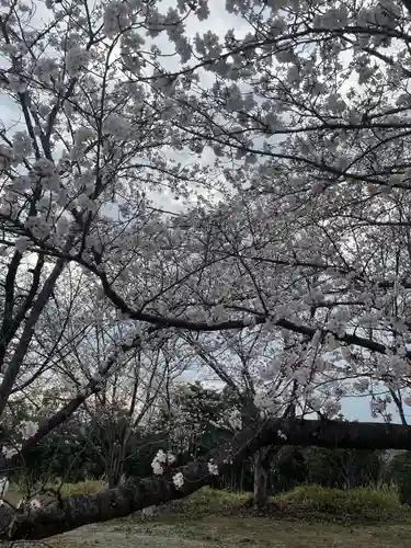 貴船神社の自然